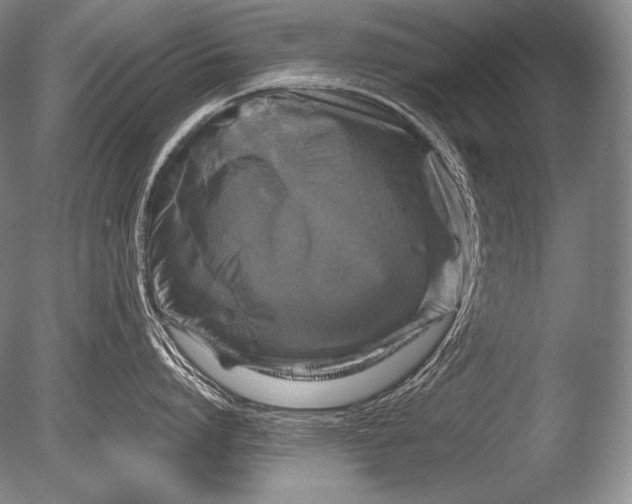 X0000085730864200703301359