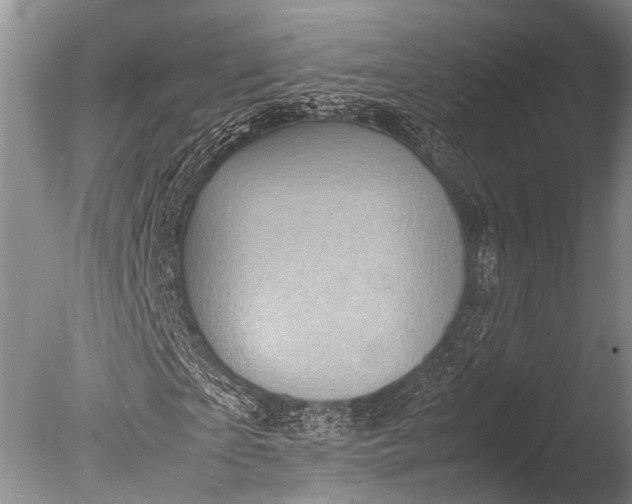 X0000085730865200703301359