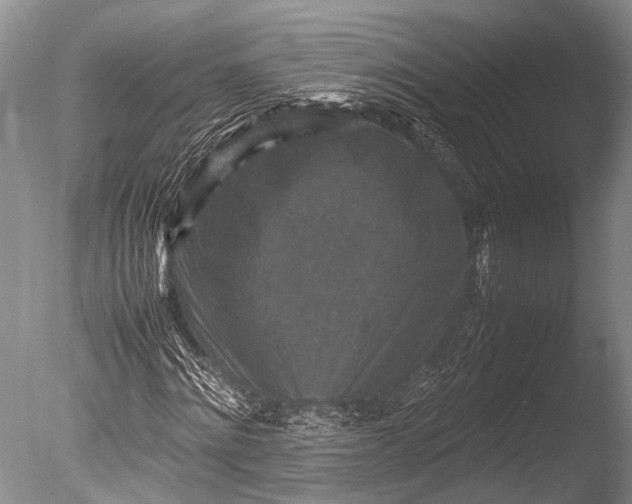 X0000085730868200703301359