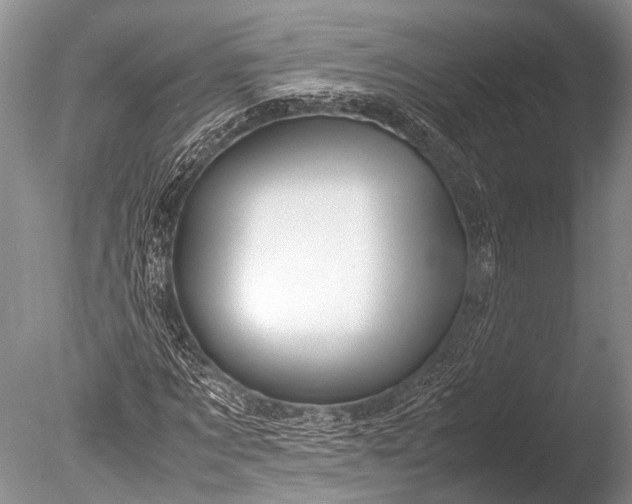 X0000085730869200703301359