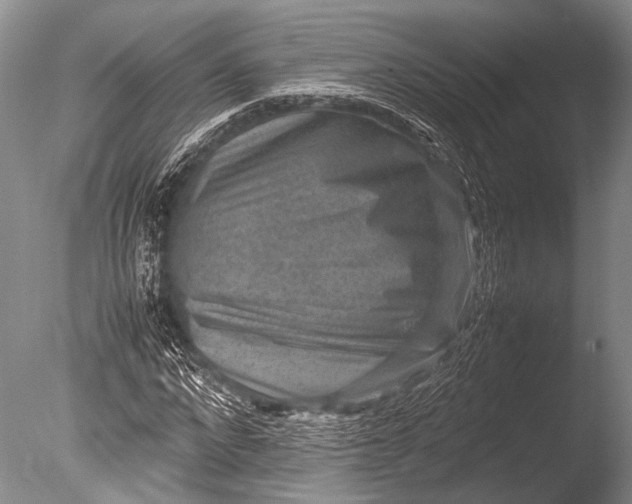 X0000085730872200703301359