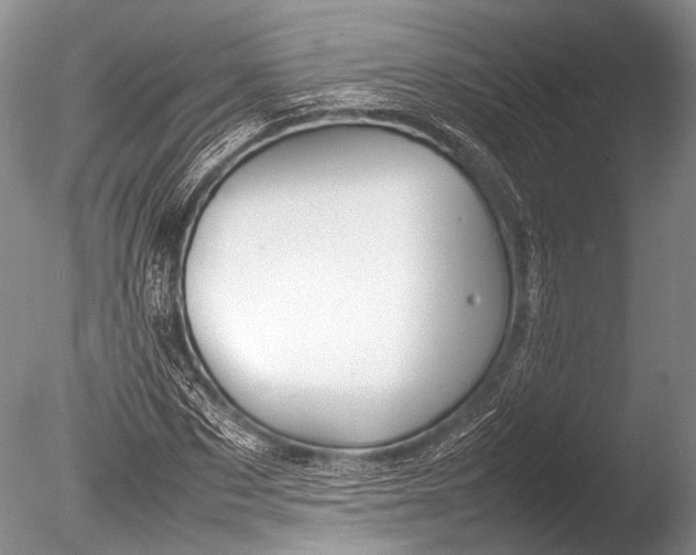 X0000085730873200703301358