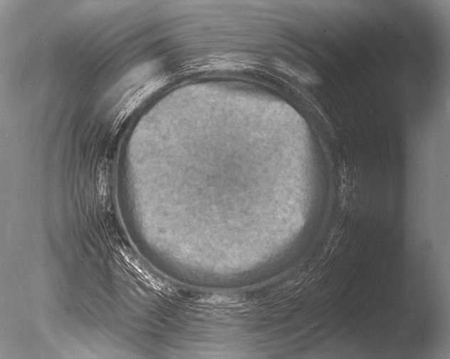 X0000085730874200703301358