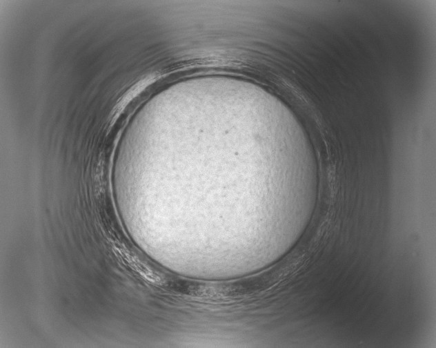 X0000085730875200703301358