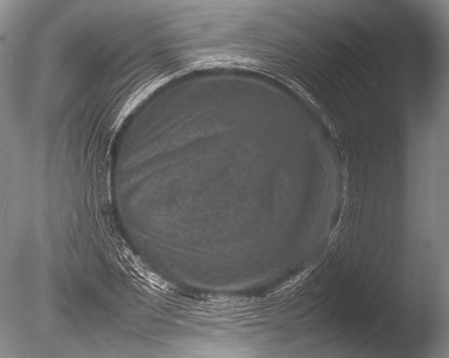 X0000085730877200703301358