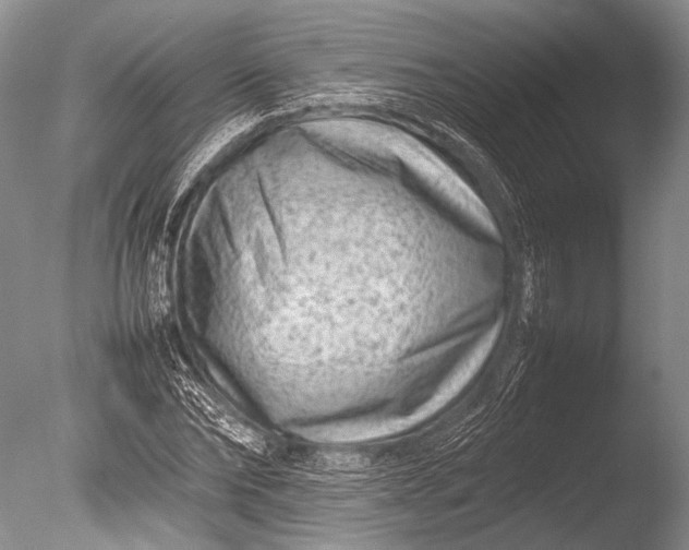 X0000085730878200703301358