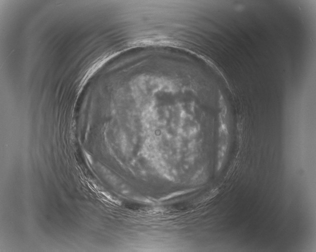 X0000085730879200703301358