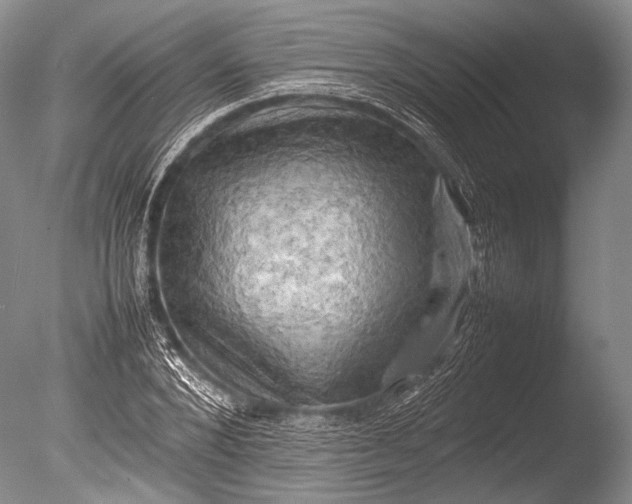 X0000085730880200703301358