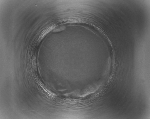 X0000085730881200703301358