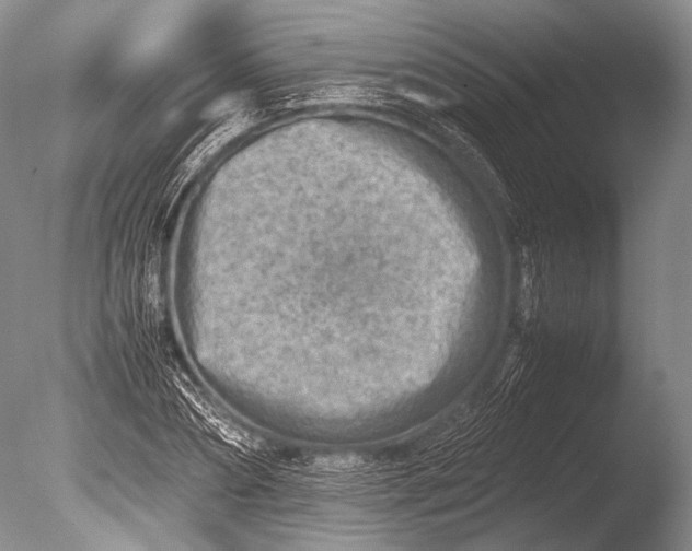 X0000085730882200703301358