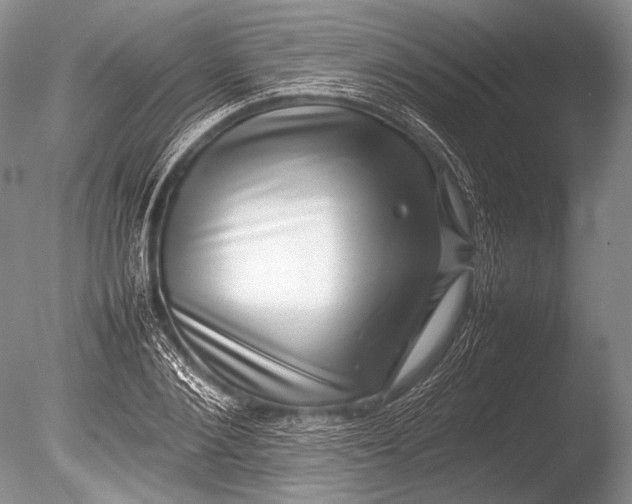 X0000085730884200703301358