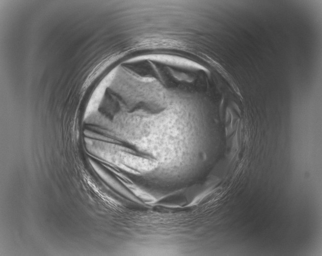 X0000085730885200703301358