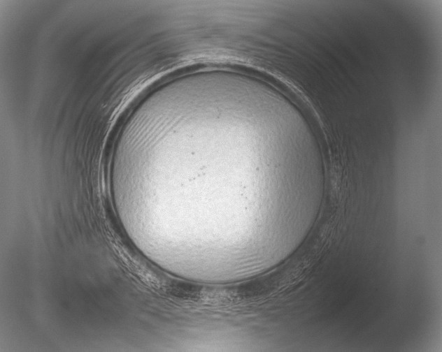 X0000085730887200703301358