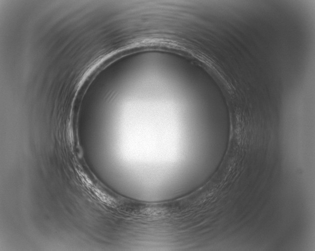 X0000085730888200703301358