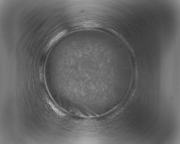 X0000085730889200703301358