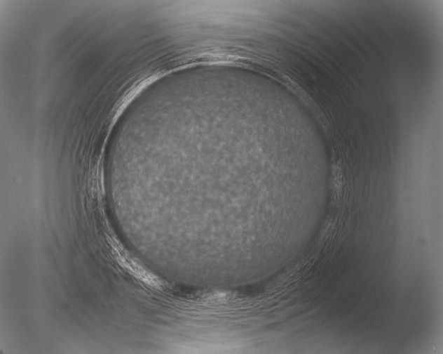 X0000085730891200703301358