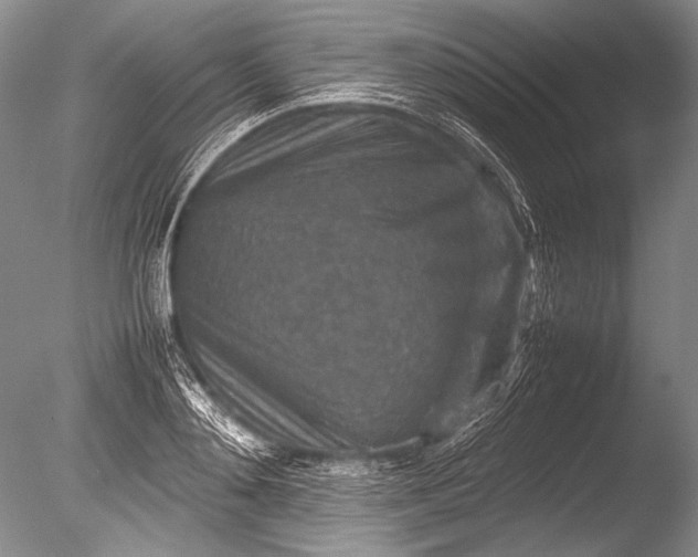 X0000085730892200703301358