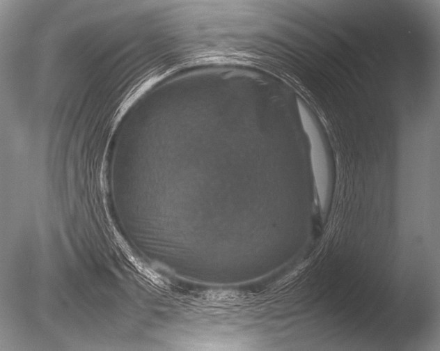 X0000085730893200703301358