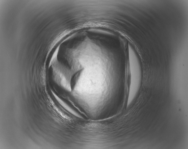 X0000085730894200703301358