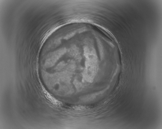 X0000085730895200703301358