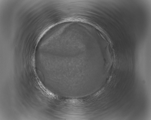 X0000085730896200703301358