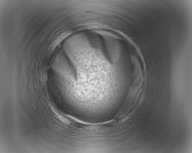 X0000085730897200703301358