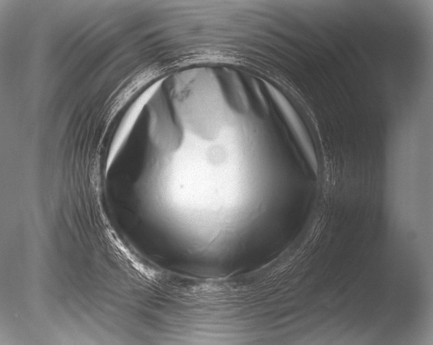 X0000085730898200703301358