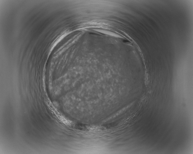 X0000085730899200703301358