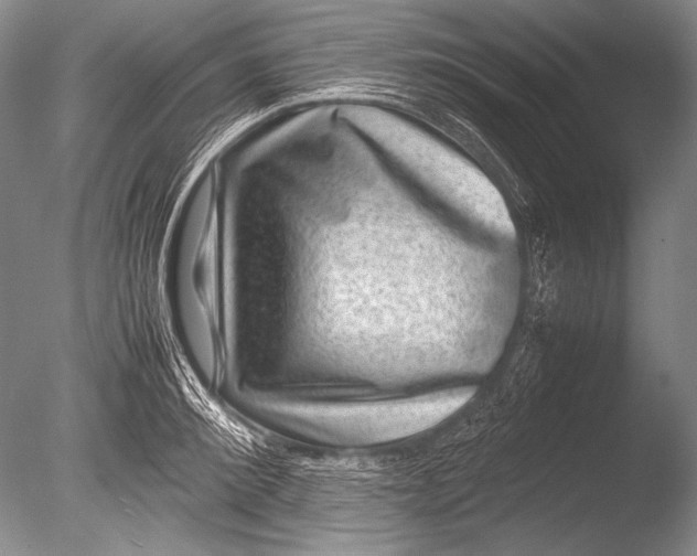 X0000085730900200703301358