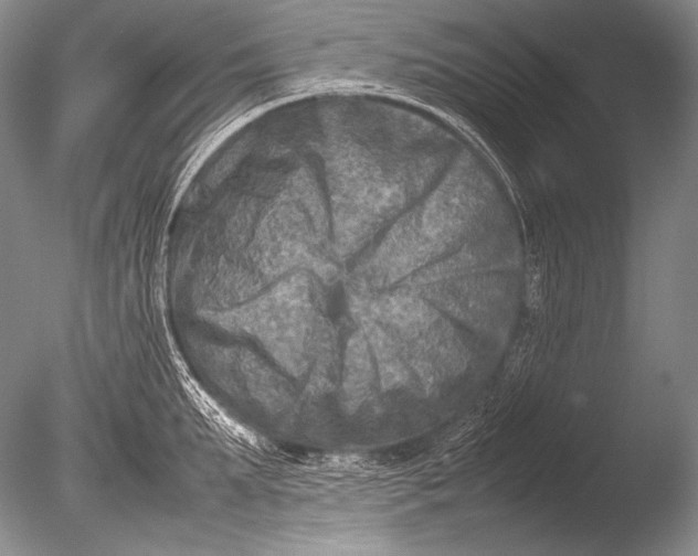 X0000085730903200703301358