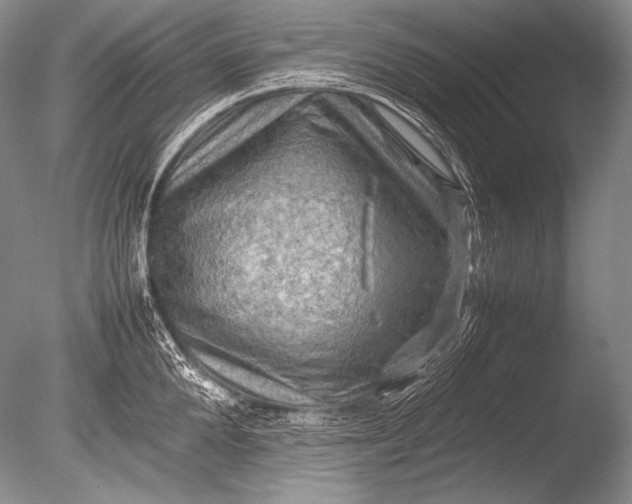 X0000085730904200703301358