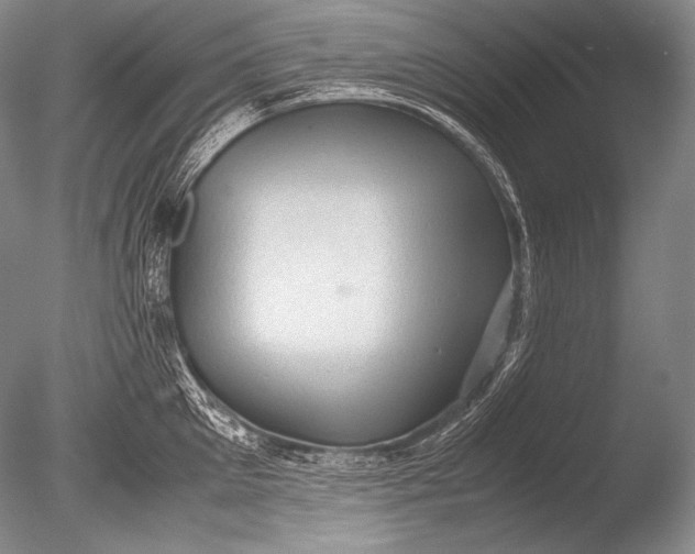 X0000085730905200703301358