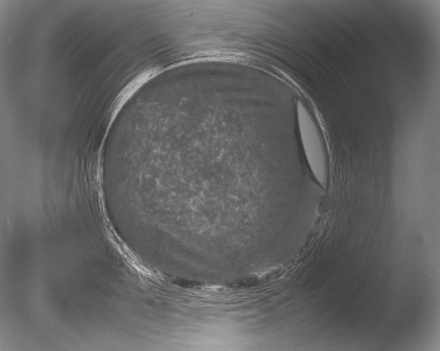 X0000085730907200703301358