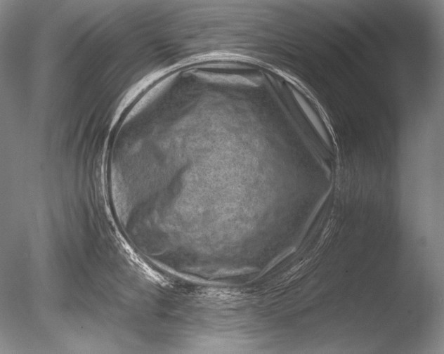 X0000085730910200703301358