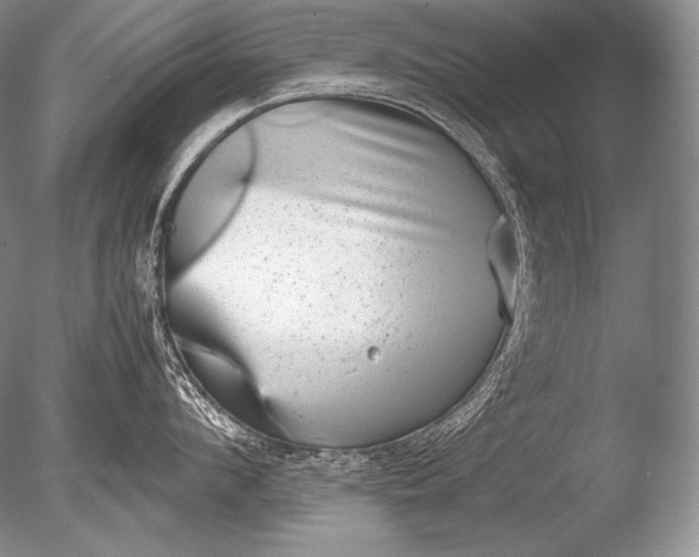 X0000085730912200703301358