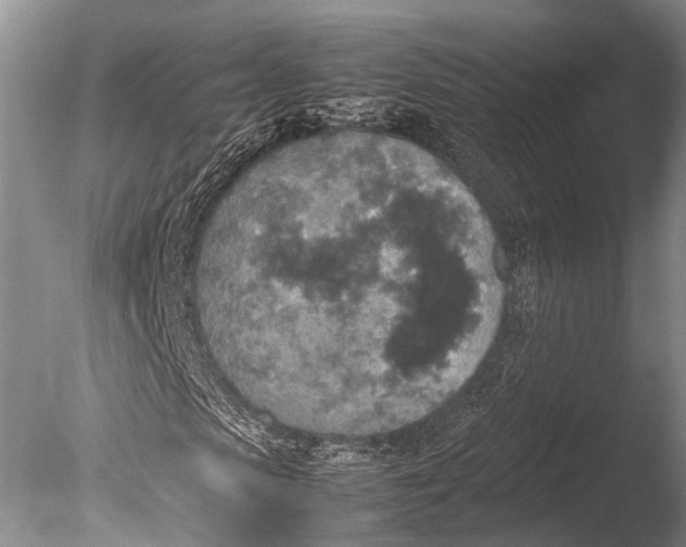 X0000085730913200703301357