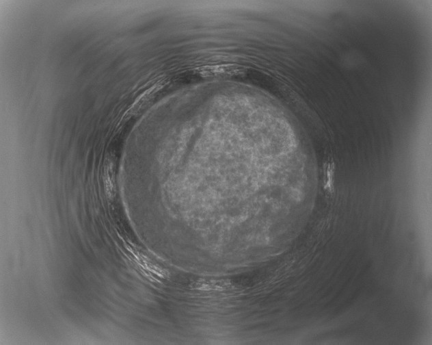 X0000085730915200703301357