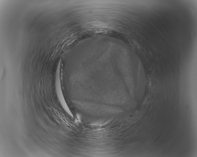 X0000085730916200703301357