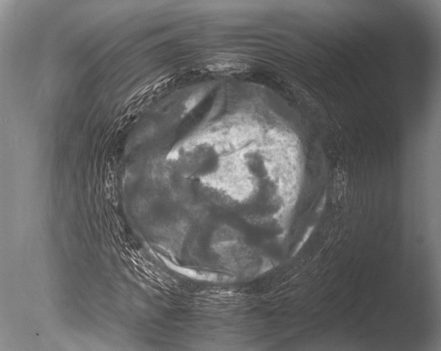 X0000085730917200703301357