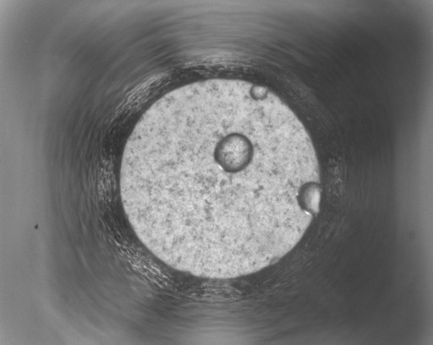 X0000085730918200703301357