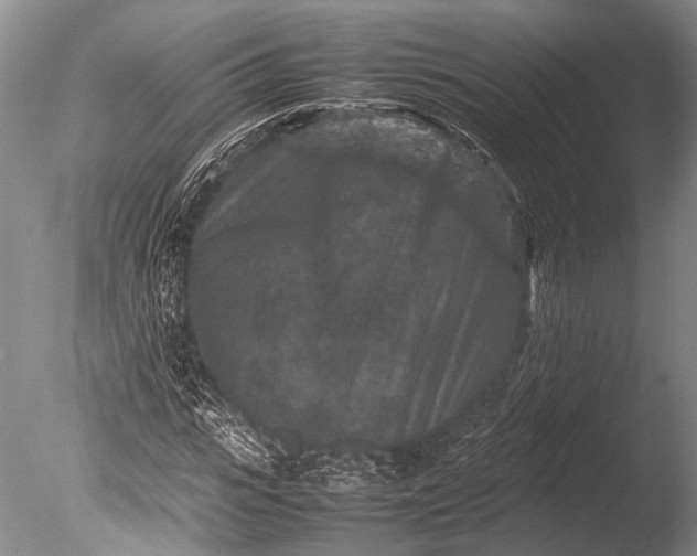 X0000085730919200703301357