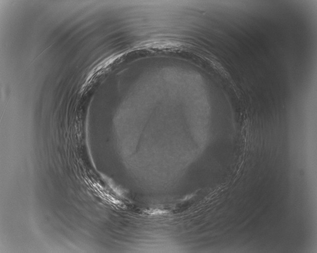 X0000085730920200703301357