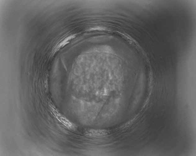 X0000085730921200703301357