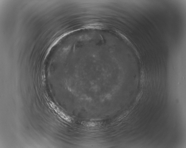 X0000085730923200703301357