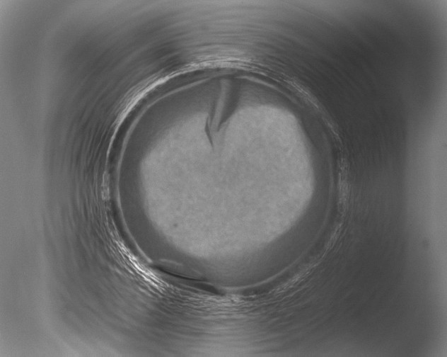 X0000085730924200703301357