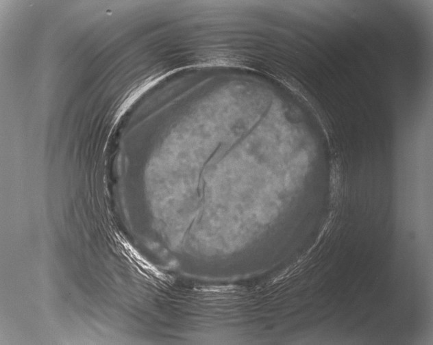 X0000085730925200703301357