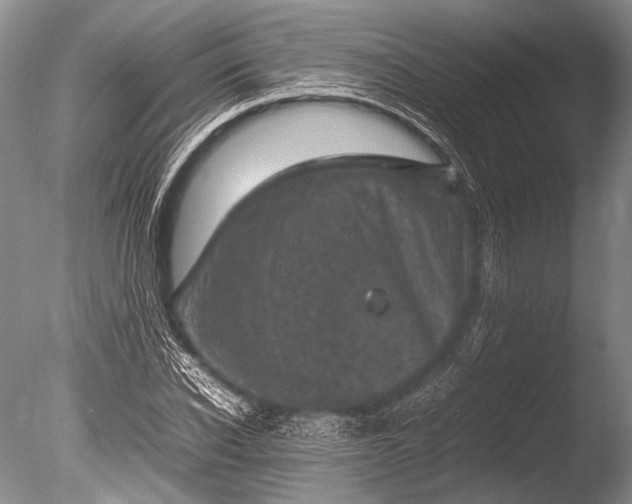 X0000085730926200703301357