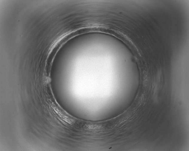 X0000085730927200703301357