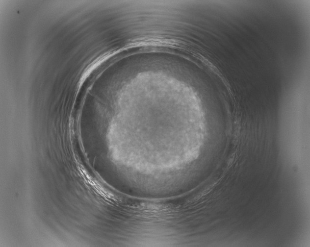 X0000085730928200703301357