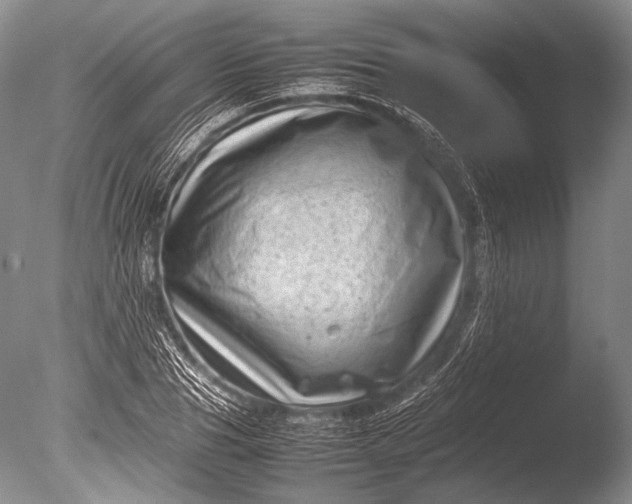 X0000085730929200703301357